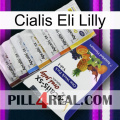 Cialis Eli Lilly 11